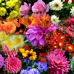 Пазл: Цветочный ковер