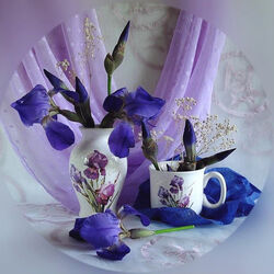 Пазл: Ирисы