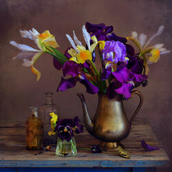 Пазл: Ирисы