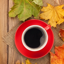 Пазл: Чашечка кофе