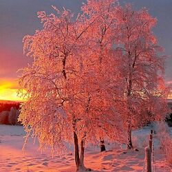 Пазл: Восход солнца