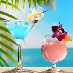 Пазл: Коктейли