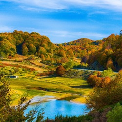 Пазл: Осень 