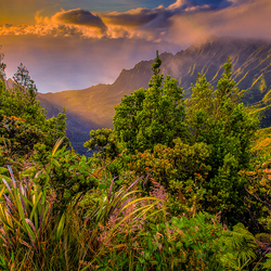 Пазл: Гавайи 