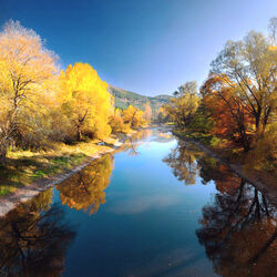 Пазл: Золотые берега