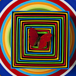 Пазл: Красная бабочка на разноцветных тарелках