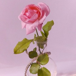 Пазл: Изящество