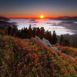 Пазл: Закат в горах  