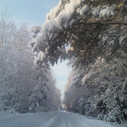Пазл: Зимняя дорога