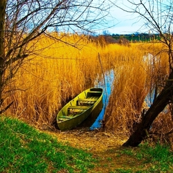 Пазл: Плавни