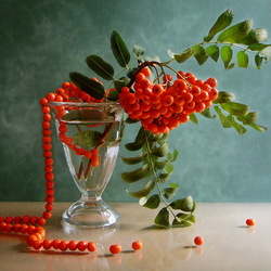 Пазл: Рябиновые бусы