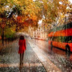 Пазл: Октябрь в красных тонах