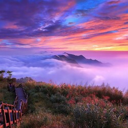 Пазл: Дорога в небо