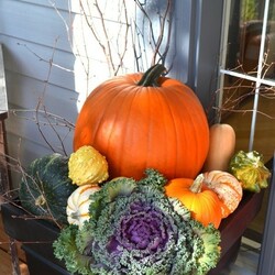 Пазл: Урожайный натюрморт