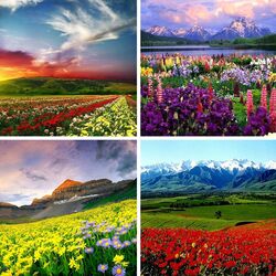 Пазл: Природа    