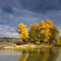 Пазл: Золотая осень