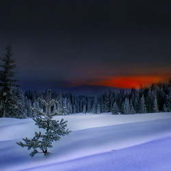 Пазл: Зимний закат 