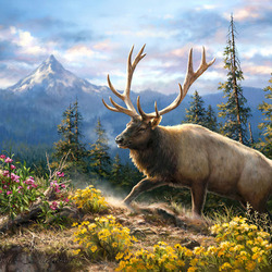 Пазл: Взбираясь в гору