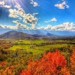 Пазл: Ранняя осень         