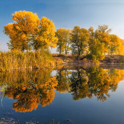 Пазл: Зеркало