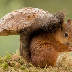 Пазл: Это мой!