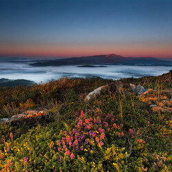 Пазл: На рассвете 