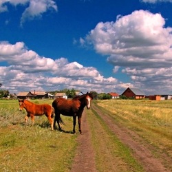 Пазл: На Сибирских просторах