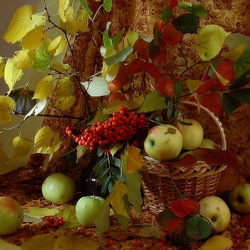 Пазл: Осенний натюрморт