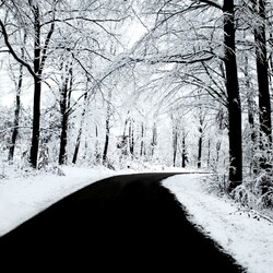 Пазл: Дорога