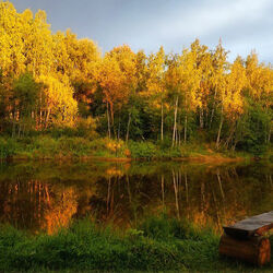 Пазл: Созерцание