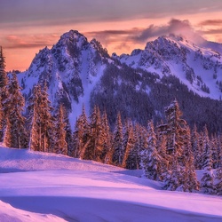 Пазл: Зимнее утро  