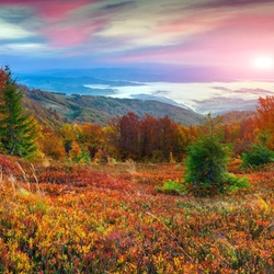 Пазл: Рассвет в горах