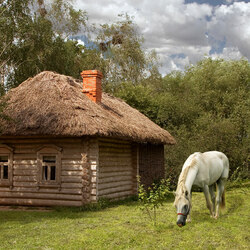 Пазл: Деревня