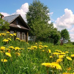 Пазл: Лето в деревне