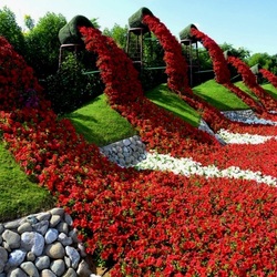 Пазл: Чудо-сад Дубая