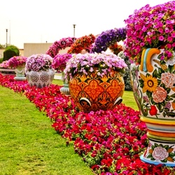 Пазл: Чудо-сад Дубая