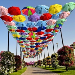 Пазл: Чудо-сад Дубая