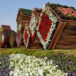 Пазл: Чудо-сад Дубая