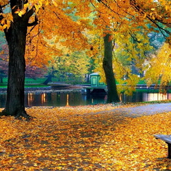 Пазл: Осенний парк