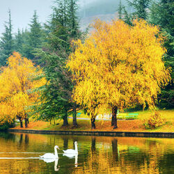 Пазл: Осенняя импресия