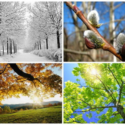 Пазл: Времена года 