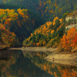 Пазл: Горы в осеннем наряде