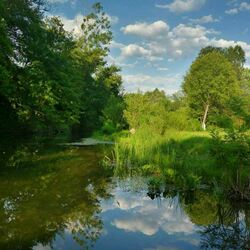 Пазл: После весеннего дождя