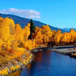 Пазл: Золотая осень