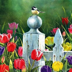 Пазл: Мир птиц