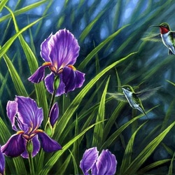 Пазл: Мир птиц