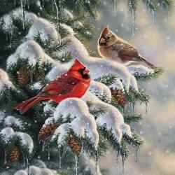 Пазл: Мир птиц