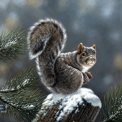 Пазл: Мир животных