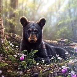 Пазл: Мир животных