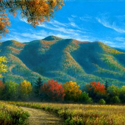 Пазл: Осени шаги